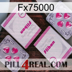 Fx75000 33